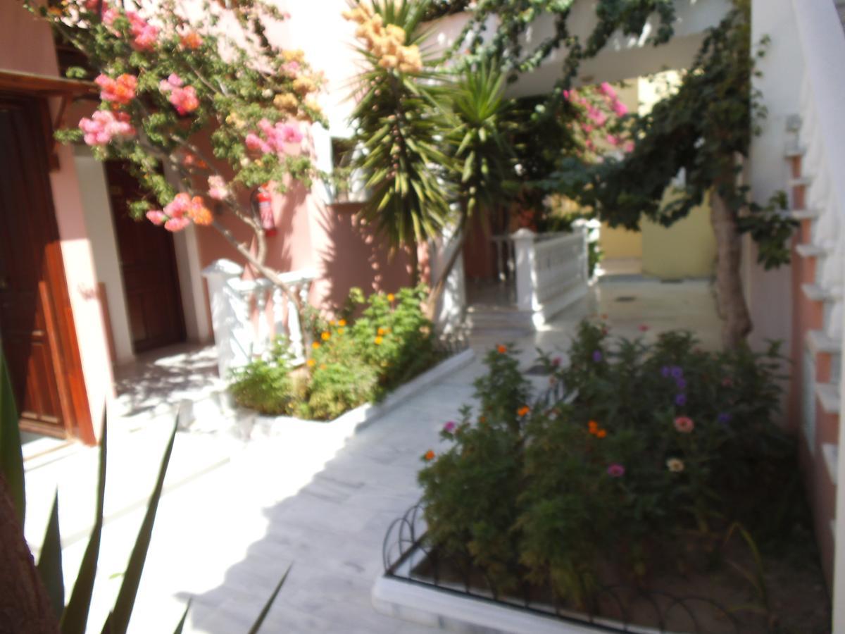 Alkyon Hotel Kokkari Exterior photo