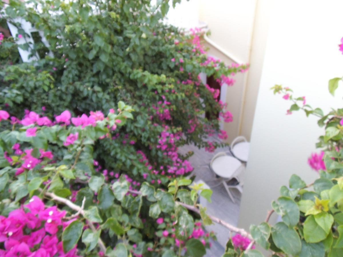 Alkyon Hotel Kokkari Exterior photo